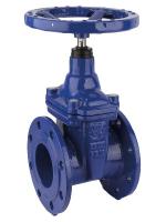 Задвижка чугунная Рашворк 102 с голым штоком PN10, DIN3202 F4, EPDM
